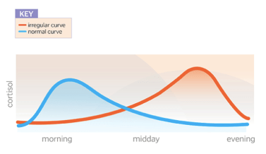 Screen Shot 2018-03-09 at 11.15.11 AM