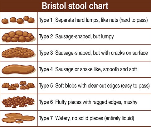 Screen Shot 2018-03-26 at 8.10.43 PM